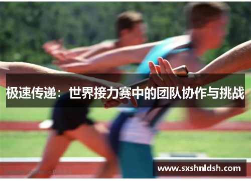 极速传递：世界接力赛中的团队协作与挑战
