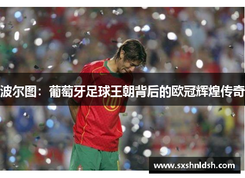 波尔图:葡萄牙足球王朝背后的欧冠辉煌传奇 波尔图:葡萄牙足球王朝背后的欧冠辉煌传奇