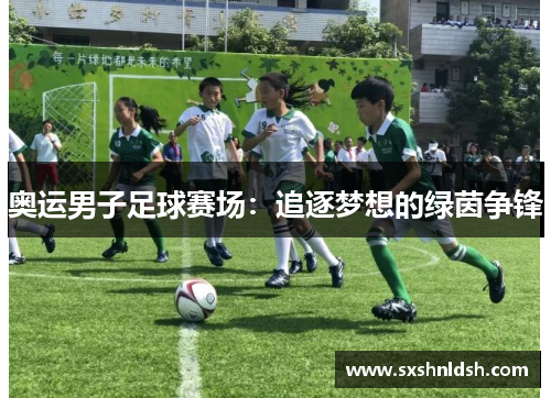 奥运男子足球赛场：追逐梦想的绿茵争锋