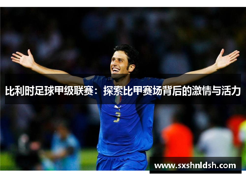 比利时足球甲级联赛:探索比甲赛场背后的激情与活力 比利时足球甲级联赛:探索比甲赛场背后的激情与活力